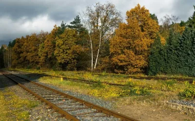 How to Get Back on Track When Life Knocks You Down