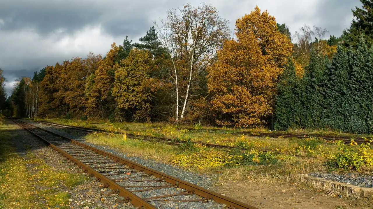 How to Get Back on Track When Life Knocks You Down A rail track through a flower path representing how to get back on track when life knocks you down