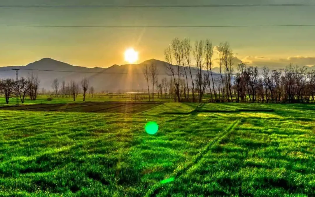 I Am the Light of the World: What It Means and How to Live It