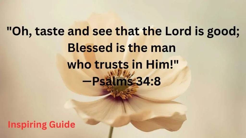 Biblical quotes on happiness