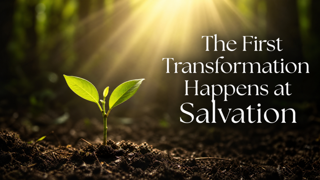 A plant growing out of the soil receiving sunlight depicting that the first transformation happened at salvation